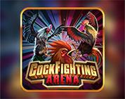 Cockfighting Arena KM